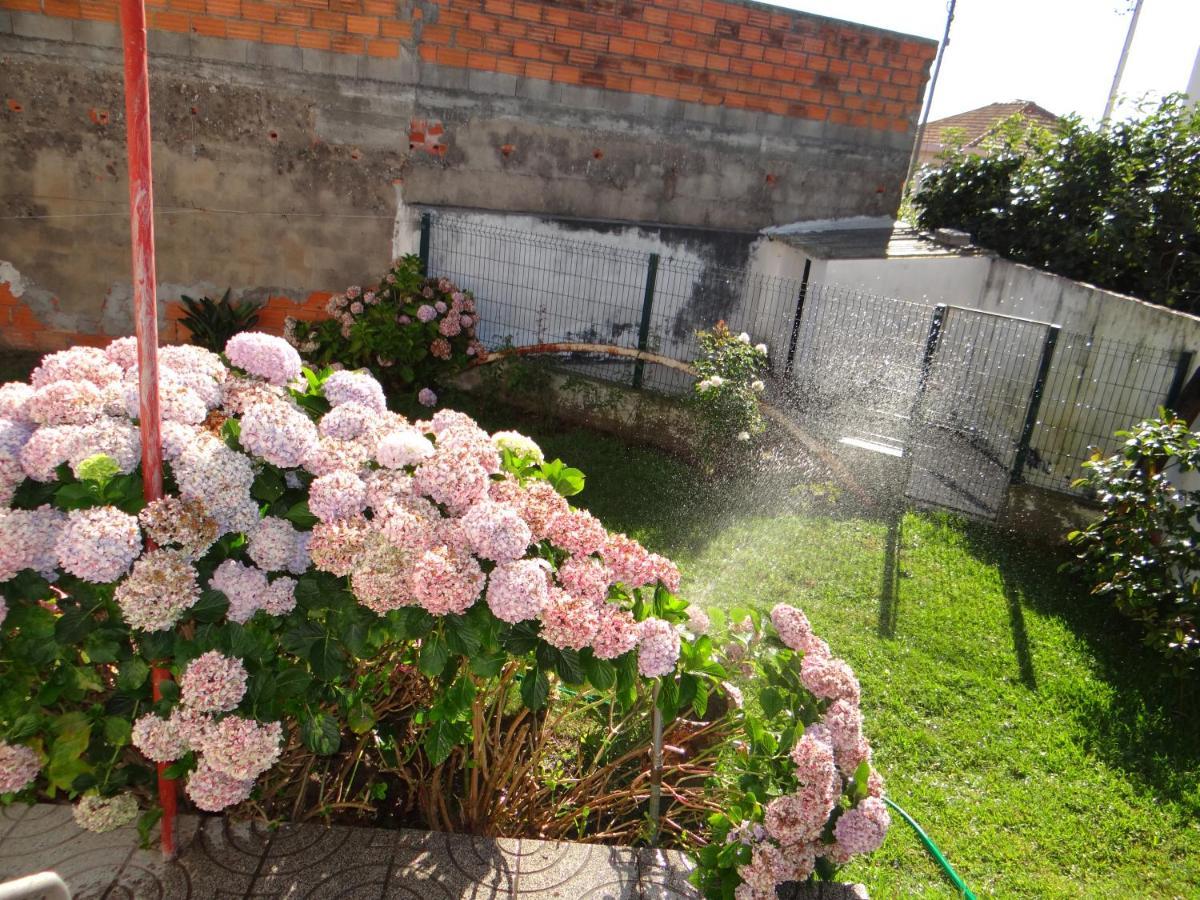 فيلا Ribeiro'S House Gafanha da Nazaré المظهر الخارجي الصورة