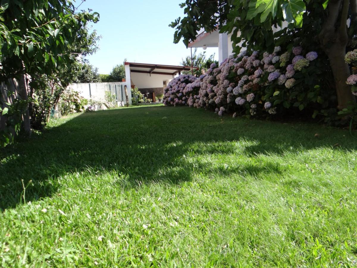 فيلا Ribeiro'S House Gafanha da Nazaré المظهر الخارجي الصورة